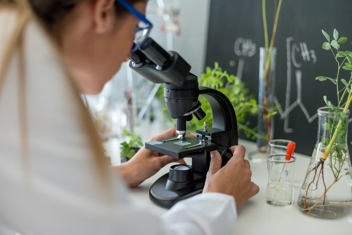 Scientist doing research on plants